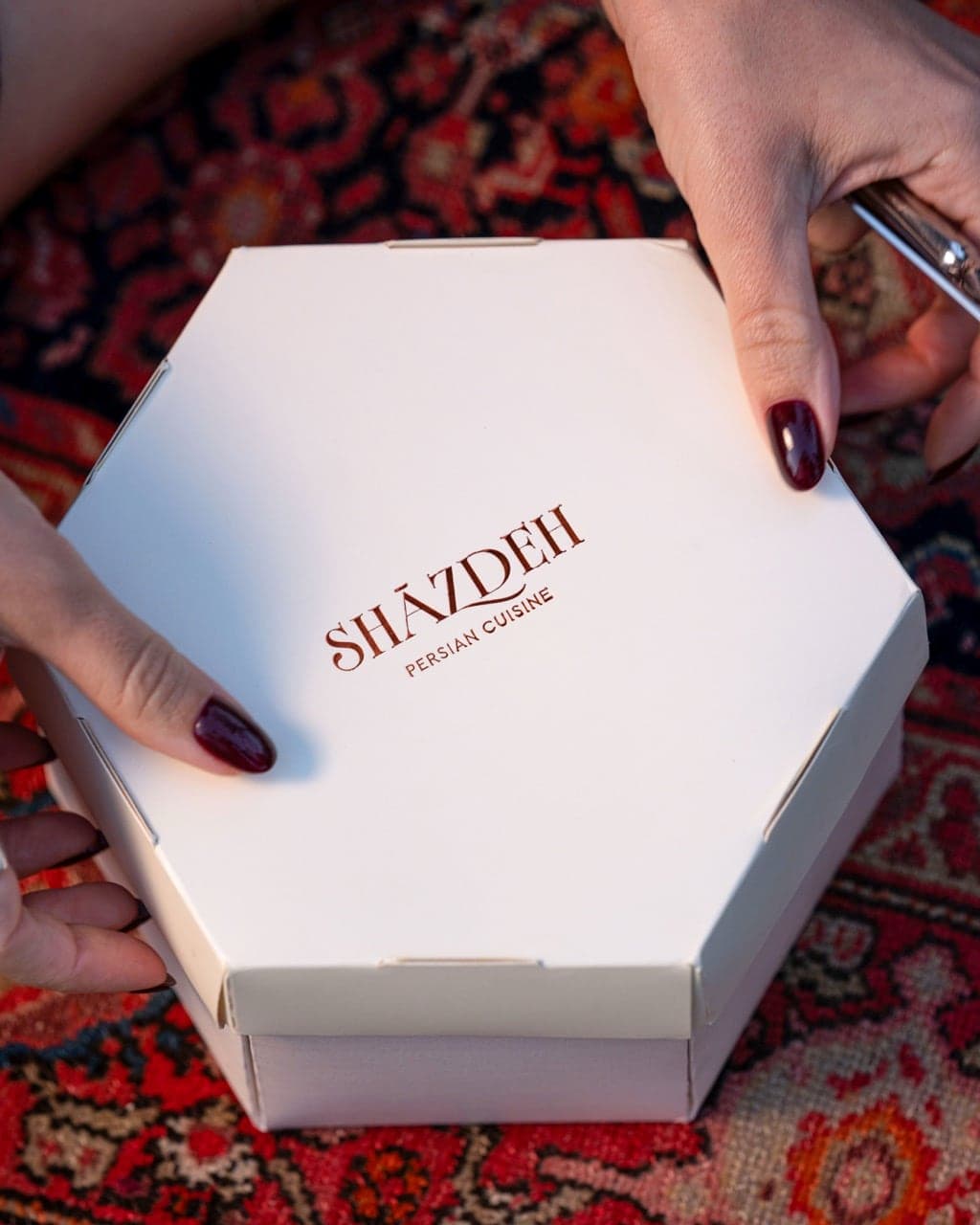 A SHĀZDEH plate, photograph 2